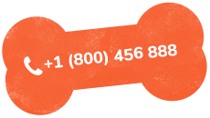 https://groomingfortails.com/wp-content/uploads/2019/07/text_02.png